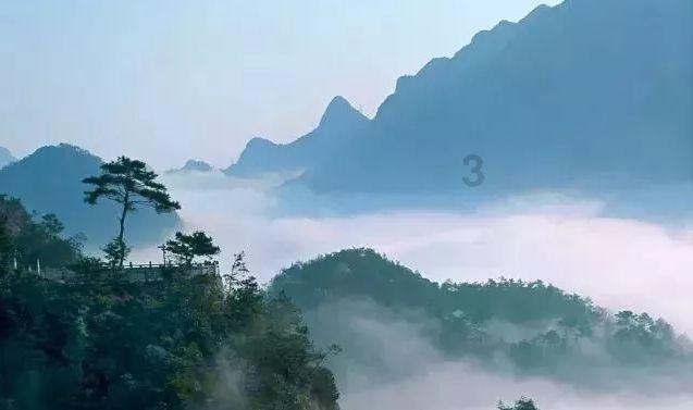 硕大的苹果
