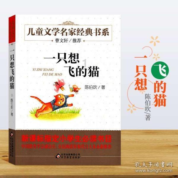 救援水管工